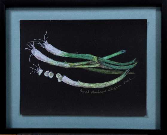 01 GREEN ONIONS - David Chapin-1