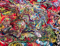 Cerebellum