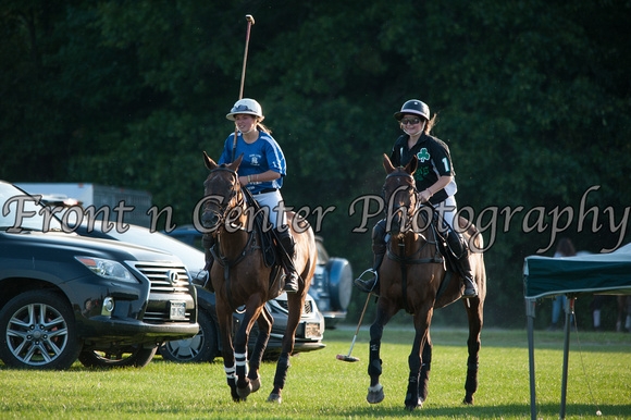 Polo Hall of Fame Cup